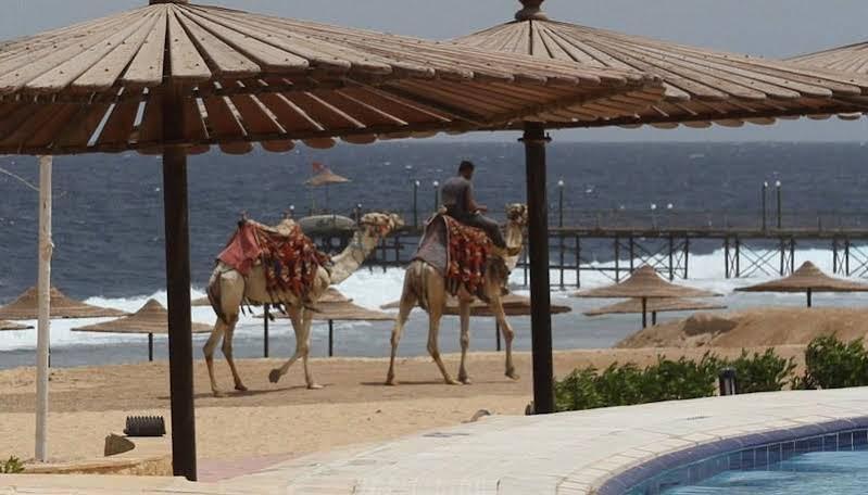 Life Resort Coral Hills El Qoseir Esterno foto